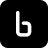 binarly.io Logo