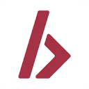 BotGauge Logo