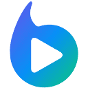 BRAIV Logo