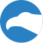 cityfalcon.ai Logo