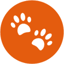 My Talking Pet Logo