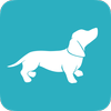 Playposit logo