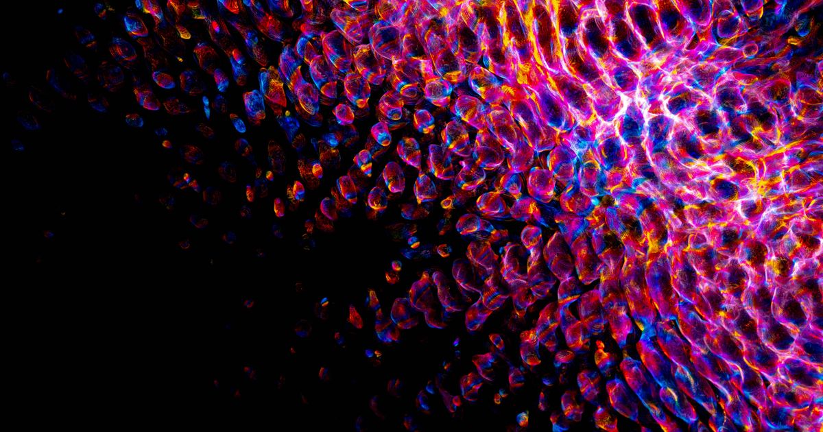 7 Best AI Art Generators in 2026: Expert Comparison & Buyer's Guide